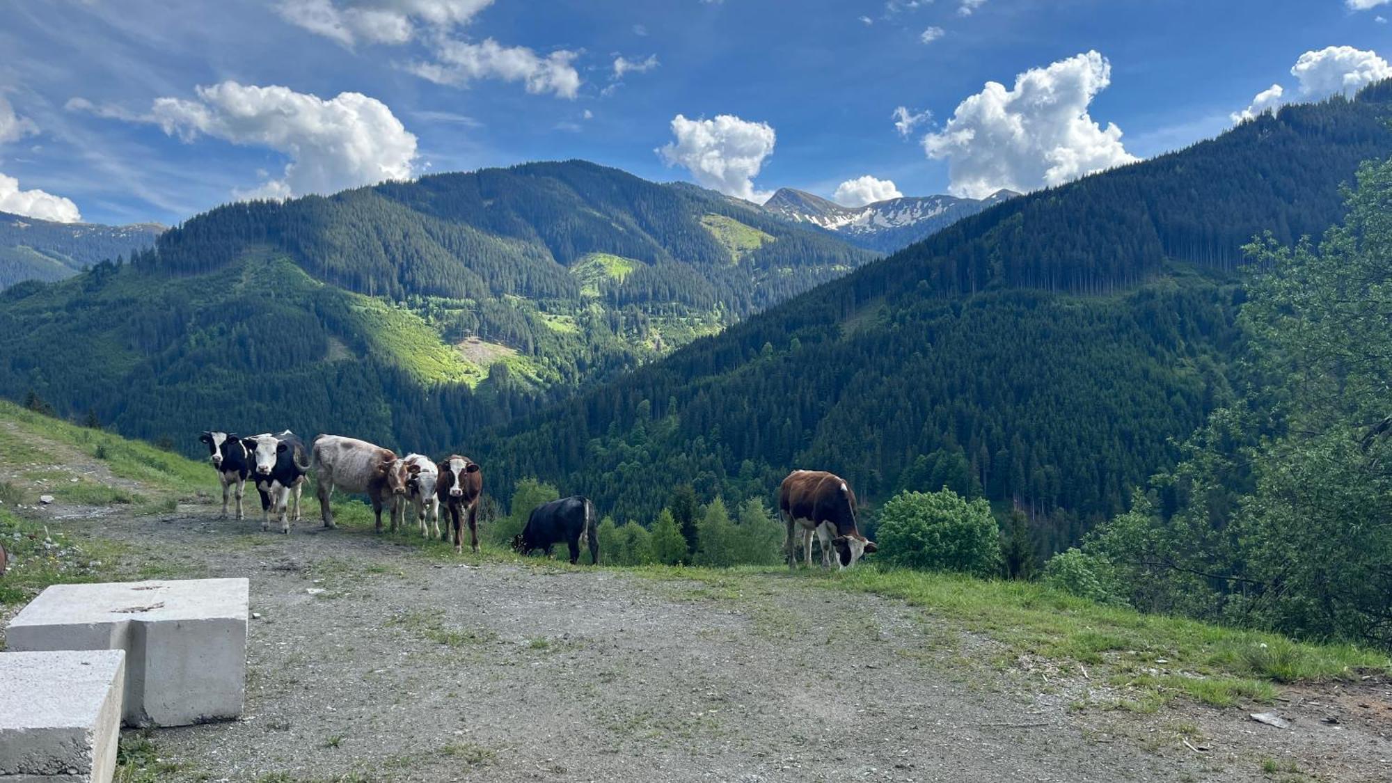 Landhaus Oberzinnegg Saalbach-Hinterglemm Bagian luar foto